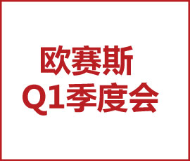 徹底的專業(yè)化、徹底的產品化、徹底的閉環(huán)化