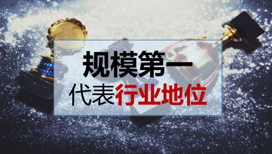 千億啄木鳥“殺手锏”：家庭維修信息對稱性之規(guī)模全國第一