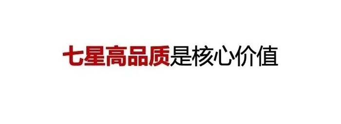 如果世界上只有5塊瓷磚，其中1塊就叫大將軍-大將軍品牌戰(zhàn)略破局策劃深度揭秘