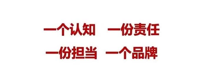 如果世界上只有5塊瓷磚，其中1塊就叫大將軍-大將軍品牌戰(zhàn)略破局策劃深度揭秘