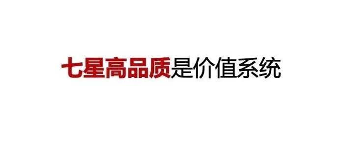 如果世界上只有5塊瓷磚，其中1塊就叫大將軍-大將軍品牌戰(zhàn)略破局策劃深度揭秘