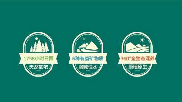 瑤珍大米：升級(jí)產(chǎn)品線，年銷售額增長(zhǎng)40%
