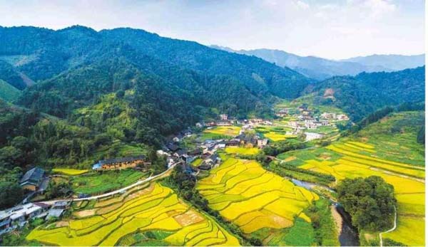 瑤珍大米：升級(jí)產(chǎn)品線，年銷售額增長(zhǎng)40%