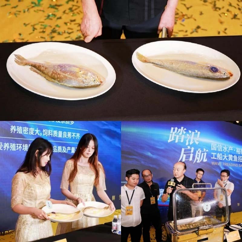 國信水產(chǎn)“裕鮮舫”┃助力海洋強(qiáng)國，中國高端海產(chǎn)品牌之路3步走