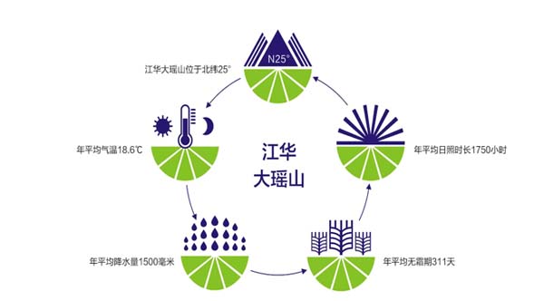 瑤珍大米：升級(jí)產(chǎn)品線，年銷售額增長(zhǎng)40%