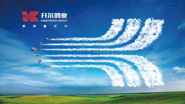 重新定義品牌全案策劃 │打造超級品牌的100個精華要點(diǎn)（第51-60講）