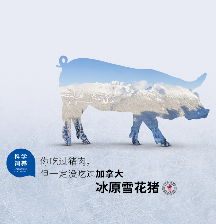 hylife冰原雪花豬品牌全案服務(wù)