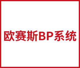 雯雯培訓(xùn)如何使用歐賽斯BP系統(tǒng)